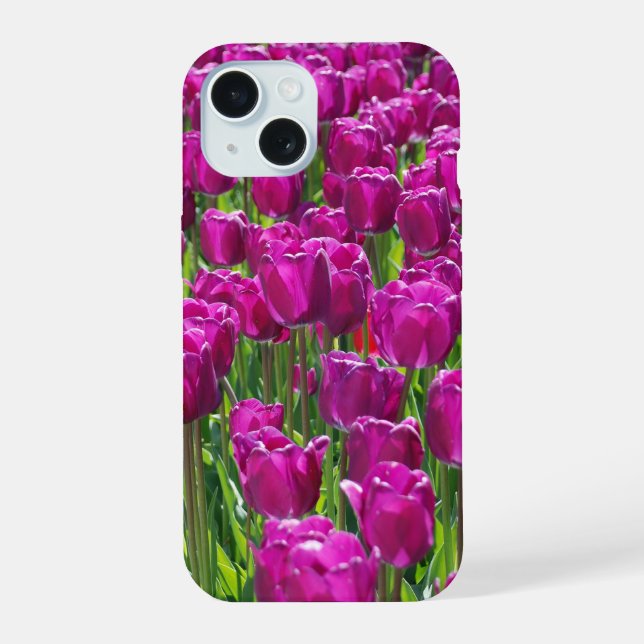 Coque iPhone 15 Tulipes pourpres (Verso)