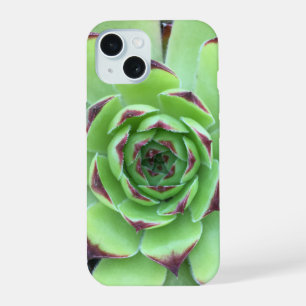 Coque iPhone 15 Vert avec pourpre Conseils Succulent Gros plan Pho