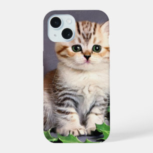 Coque iPhone 15 Vintage Christmas Kitten et Holly