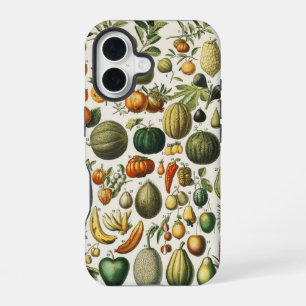 Coque iPhone 16 Affiches de fruits botaniques français vintage