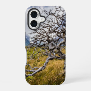 Coque iPhone 16 Arbre brûlé, Torres del Paine, Chili