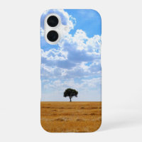 Arbre dans un champ de blé récolté