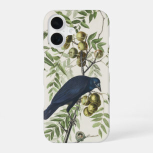 Coque iPhone 16 Art de la nature de la corneille américaine Audubo