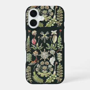 Coque iPhone 16 Art Nature Scientifique Ernst Haeckel Hépatiques