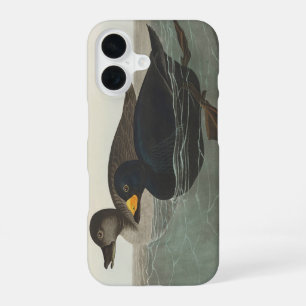 Coque iPhone 16 Art vintage de canard scoter américain d'Audubon