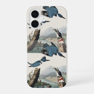 Coque iPhone 16 Art vintage de l'Alcedo ceinturé d'Audubon