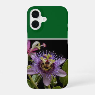 Coque iPhone 16 Beauté énigmatique : la fleur de la passion pourpr