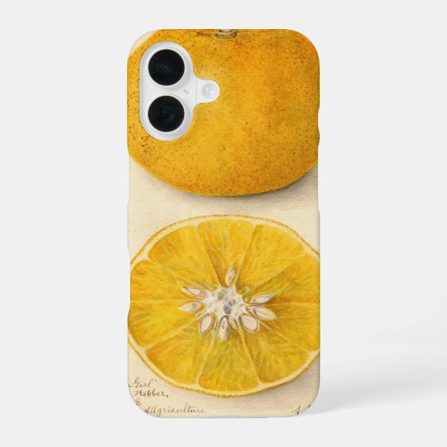 Coque iPhone 16 Belle œuvre d'art orange (Verso)