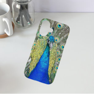 Coque iPhone 16 Belle photo Peacock Bleu