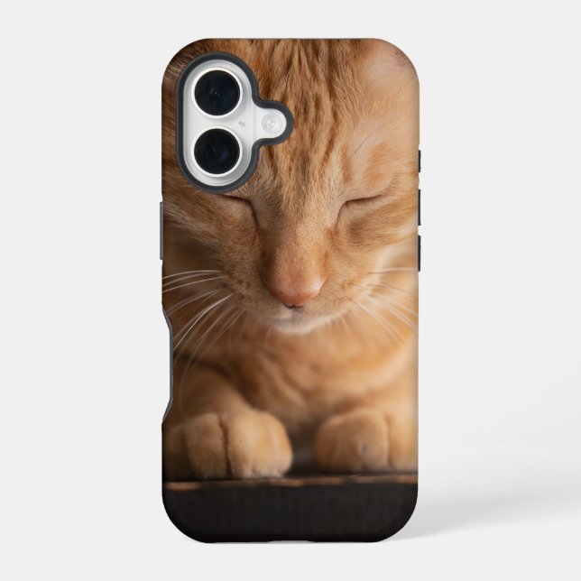 Coque iPhone 16 Boîtier Apple Iphone 16 Chat (Verso)