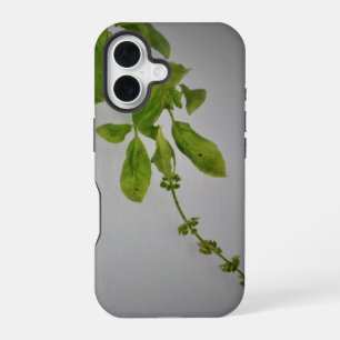 Coque iPhone 16 boîtier apple iphone 16 style et design