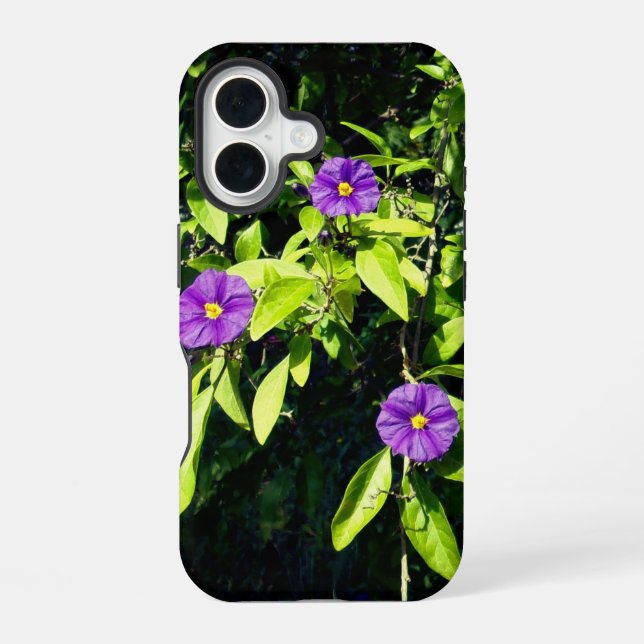 Coque iPhone 16 boîtier de style et de design pour apple iphone 16 (Verso)