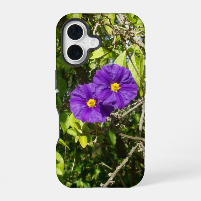 Coque iPhone 16 boîtier de style et de design pour apple iphone 16 (Verso)