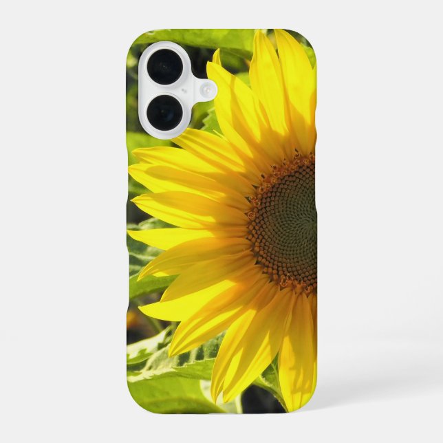 Coque iPhone 16 Boîtier iPhone Sunflower Glow (Verso)