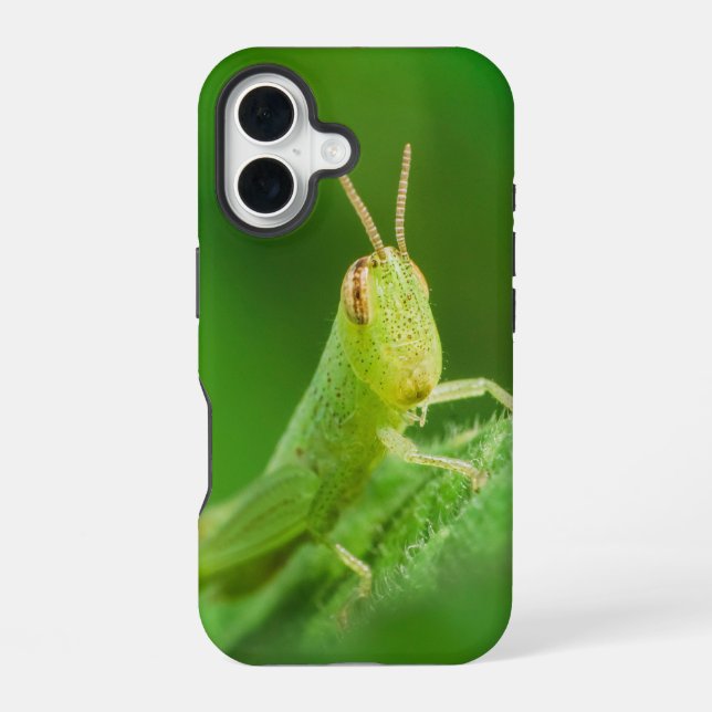 Coque iPhone 16 Boîtier pour iPhone / iPad (Verso)