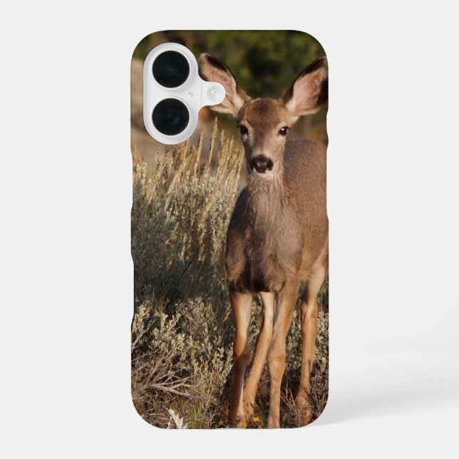 Coque iPhone 16 Boîtier téléphonique fixe (Verso)
