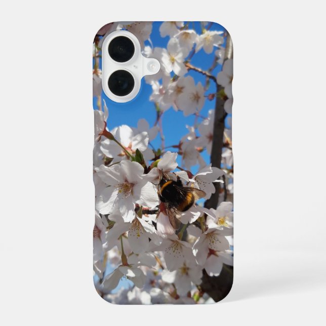 Coque iPhone 16 Bumblebee sur la fleur de cerisier sauvage (Verso)