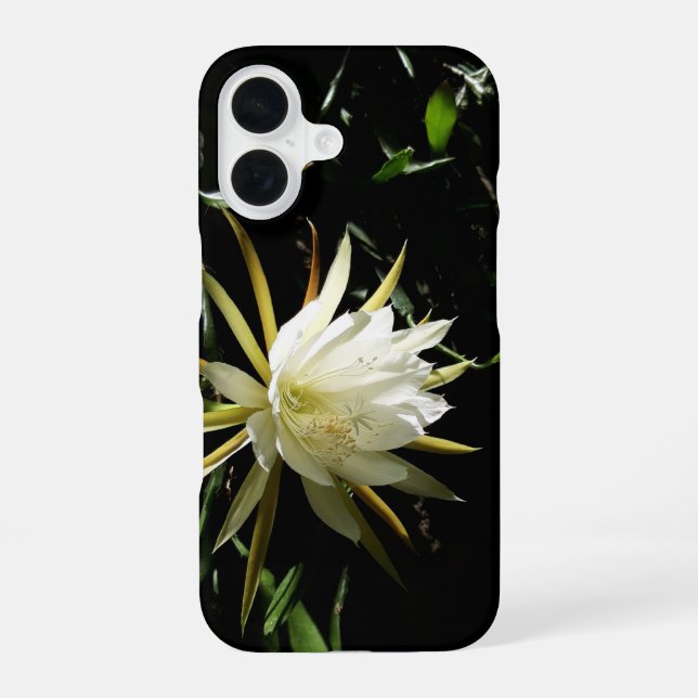 Coque iPhone 16 Cactus Bloom (Verso)