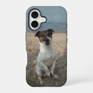 Coque iPhone 16 Capo von Oppenheim, Jack Russell Terrier Chien