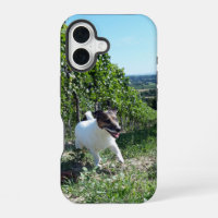 Capo von Oppenheim Jack Russell Terrier, Chien