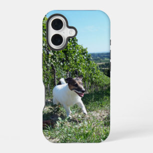 Coque iPhone 16 Capo von Oppenheim Jack Russell Terrier, Chien