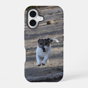 Coque iPhone 16 Capo von Oppenheim, Jack Russell Terrier Chien