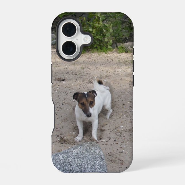 Coque iPhone 16 Capo von Oppenheim Jack Russell Terrier, Chien (Verso)
