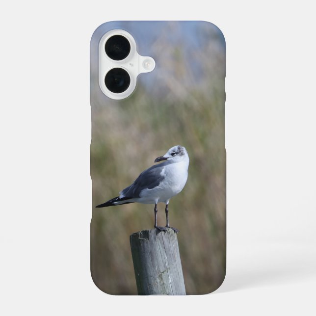 Coque iPhone 16 Capsule à la poste (Verso)