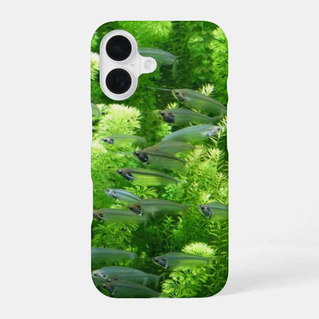 Coque iPhone 16 Chalet de poisson d'argent transparent (Verso)