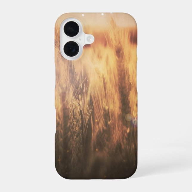 Coque iPhone 16 Champ de Blé Rustique Campagne Simple Glam (Verso)