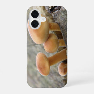 Coque iPhone 16 Champignons sur un tronc d'arbre