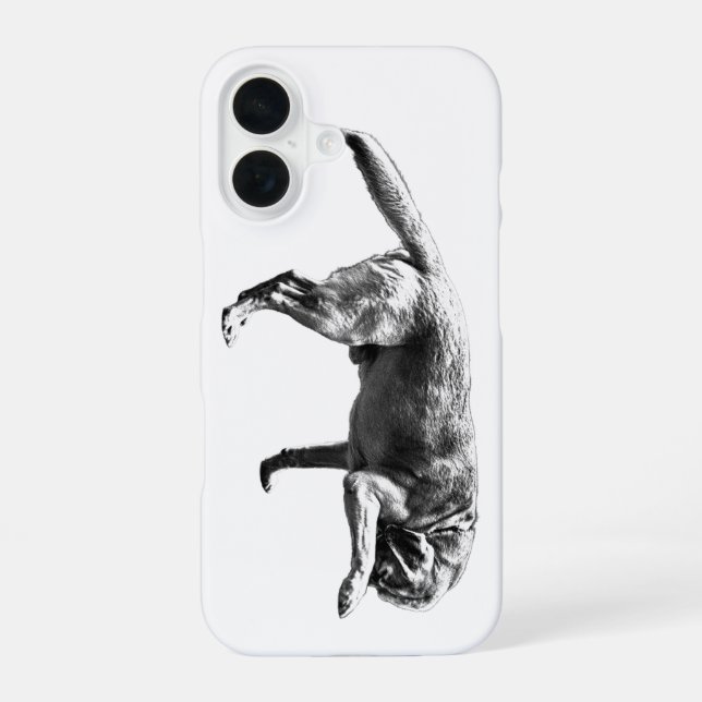 Coque iPhone 16 Charme photographique (Verso)