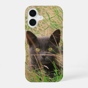 Coque iPhone 16 Chat Gris Foncé Sortant de l'Herbe Haute