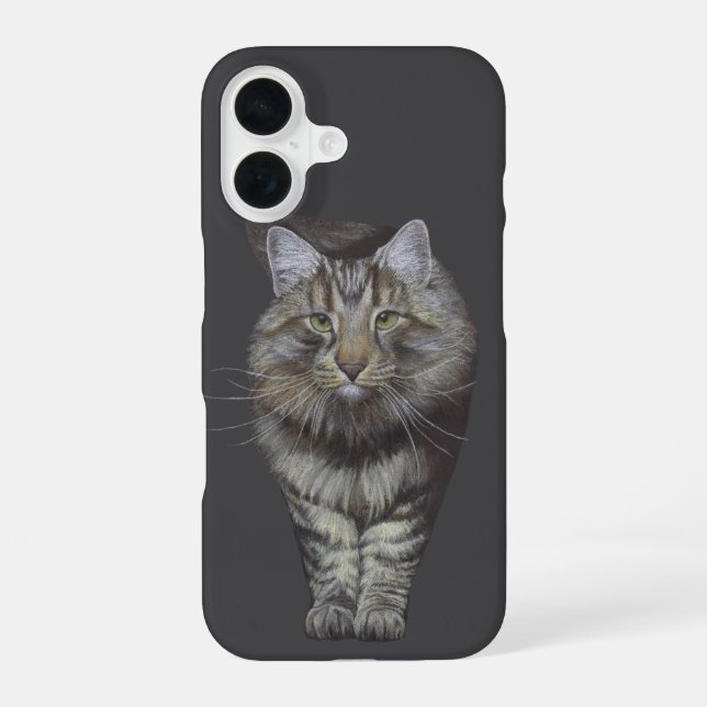 Coque iPhone 16 Chat Maine Coon (Verso)