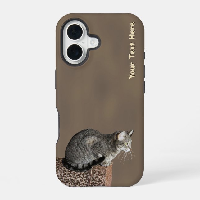 Coque iPhone 16 Chat Tabby Gris Fumé (Verso)