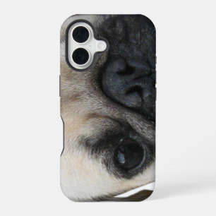 Coque iPhone 16 Chien ami Pug de chiot mignon ... かわいい 子犬