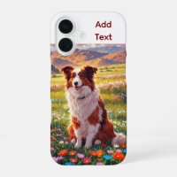 Chien de berger Border Collie