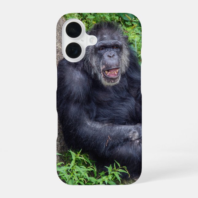 Coque iPhone 16 Chimpanzé En Plante Vert (Verso)