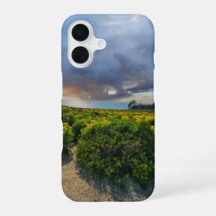 Coque iPhone 16 Ciels dramatiques au coucher du soleil à Point Dum