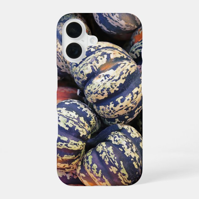 Coque iPhone 16 Citrouilles rayées rustiques  (Verso)