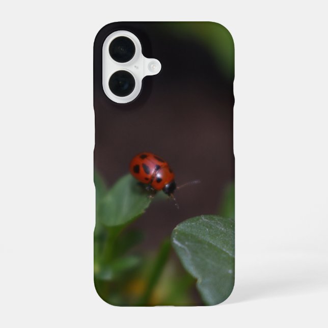 Coque iPhone 16 Coccinelle sur fleurs (Verso)