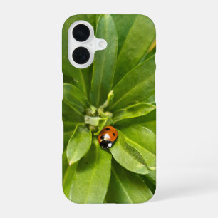 Coque iPhone 16 Coccinelle sur fleurs