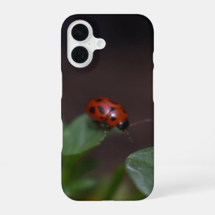 Coque iPhone 16 Coccinelle sur fleurs