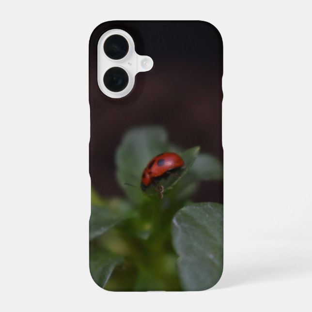Coque iPhone 16 Coccinelle sur fleurs (Verso)