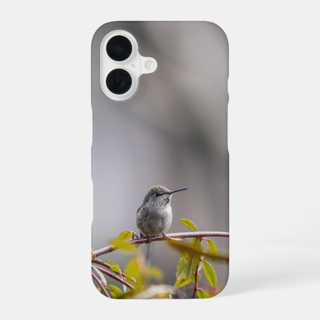 Coque iPhone 16 Colibri 3346 (Verso)