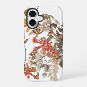 Coque iPhone 16 Colibris à gorge rubis et fleurs d'Audubon