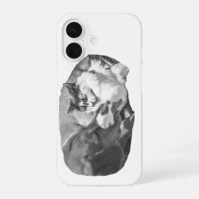 Coque iPhone 16 Compagnons de porche ombragés (Verso)