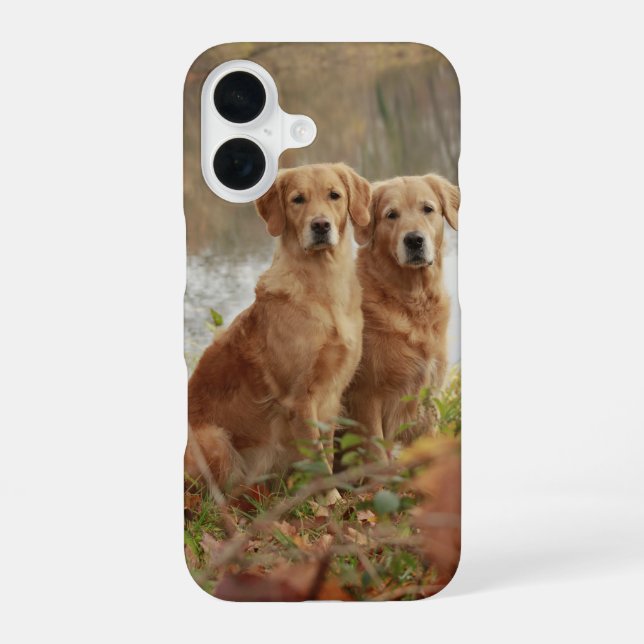 Coque iPhone 16 Copains Retrievers (Verso)