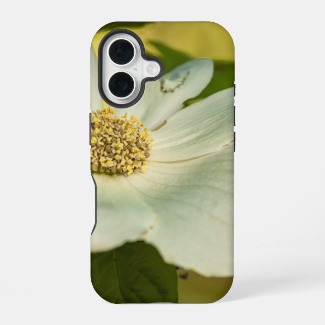 Coque iPhone 16 Cornouiller (Verso)