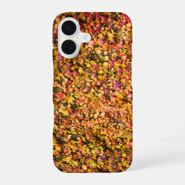 Coque iPhone 16 Couleurs d'automne dorées sur un mur de lierre (Verso)